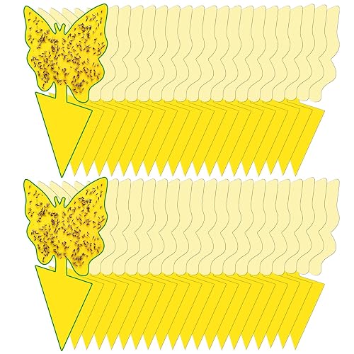 40 Pack Fungus Gnat Traps for House Indoor Yellow Sticky
