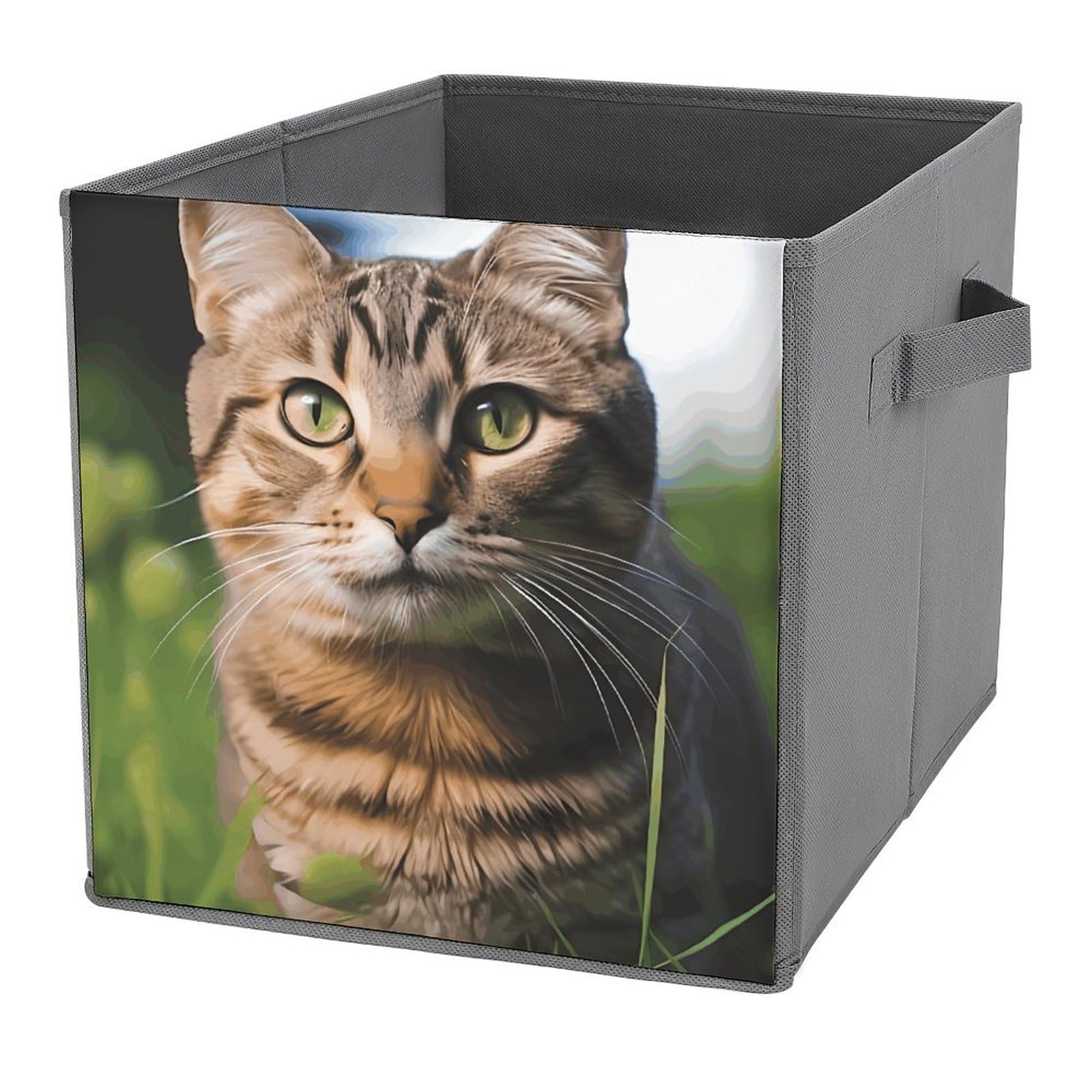 Bacs de rangement pliables chat tigré pour sublimer l'organisation de vos placards