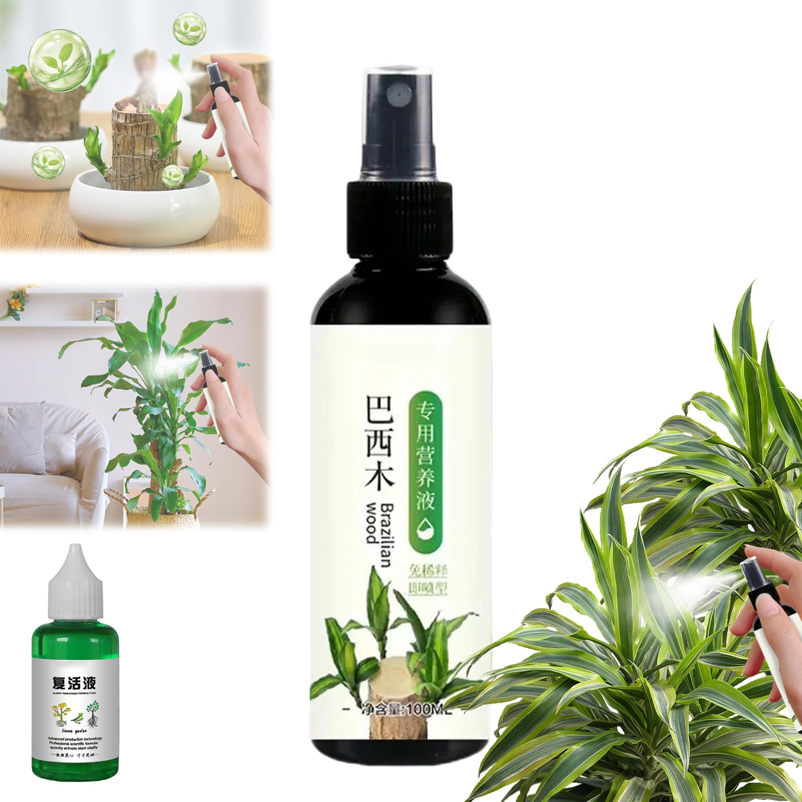 Brazilian Wood Plant Food,Lucky Bamboo Liquid Fertilizer,Brazilian Wood Houseplant Fertilizer,Brazilian Wood Flowering Special Nutrient Solution for Indoor Plants (1pcs)