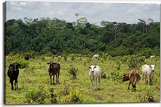 Livestock the Brazilian Amazon Canvas Wall Art Decor Paintings Pictures for Bedroom Wall Decor Above Bed Living Room Wall Decoration Bathroom Office Artwork