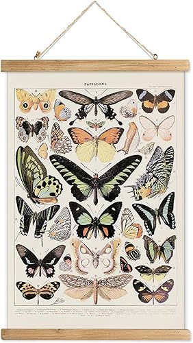 XIAOAIKA Póster colgante de mariposa vintage con marco de madera, pintura artística de decoración de pared de estilo retro, patrones impresos en