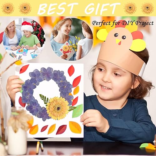 Miniatura 7 de ALJ Girasoles secos amarillos dorados de gran tamaño para adornos de manualidades, margarita africana prensada real natural para resina, bricolaje,