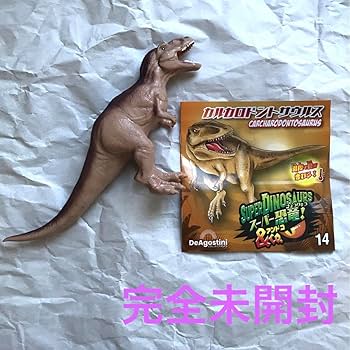 カルカロドントサウルス，母石付け 楽天市場】【送料無料】【カルカロドントサウルス/歯/化石/恐竜