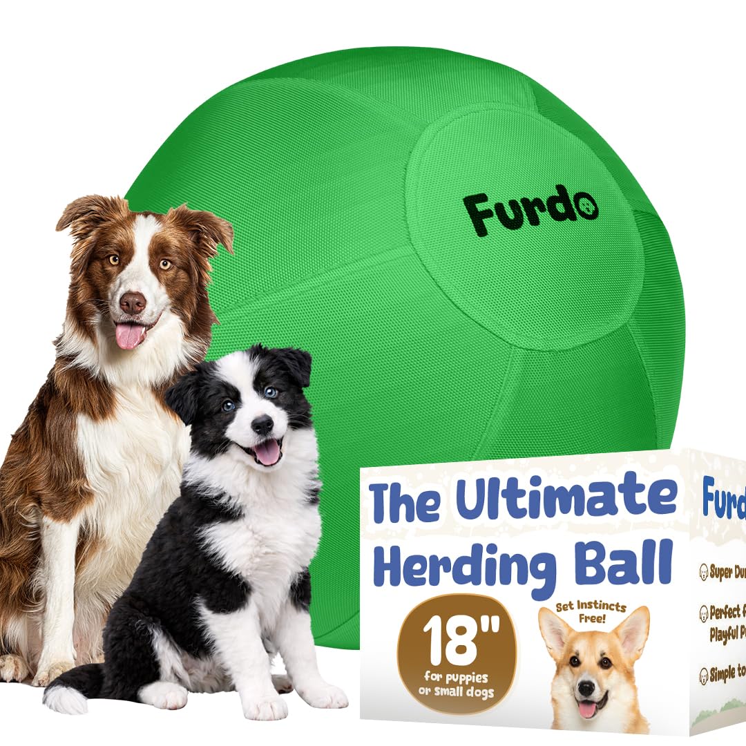 18 Herding Ball for Dogs for Corgis for Australian Shepherd for Cattle for Border Collie for Blue Heelers