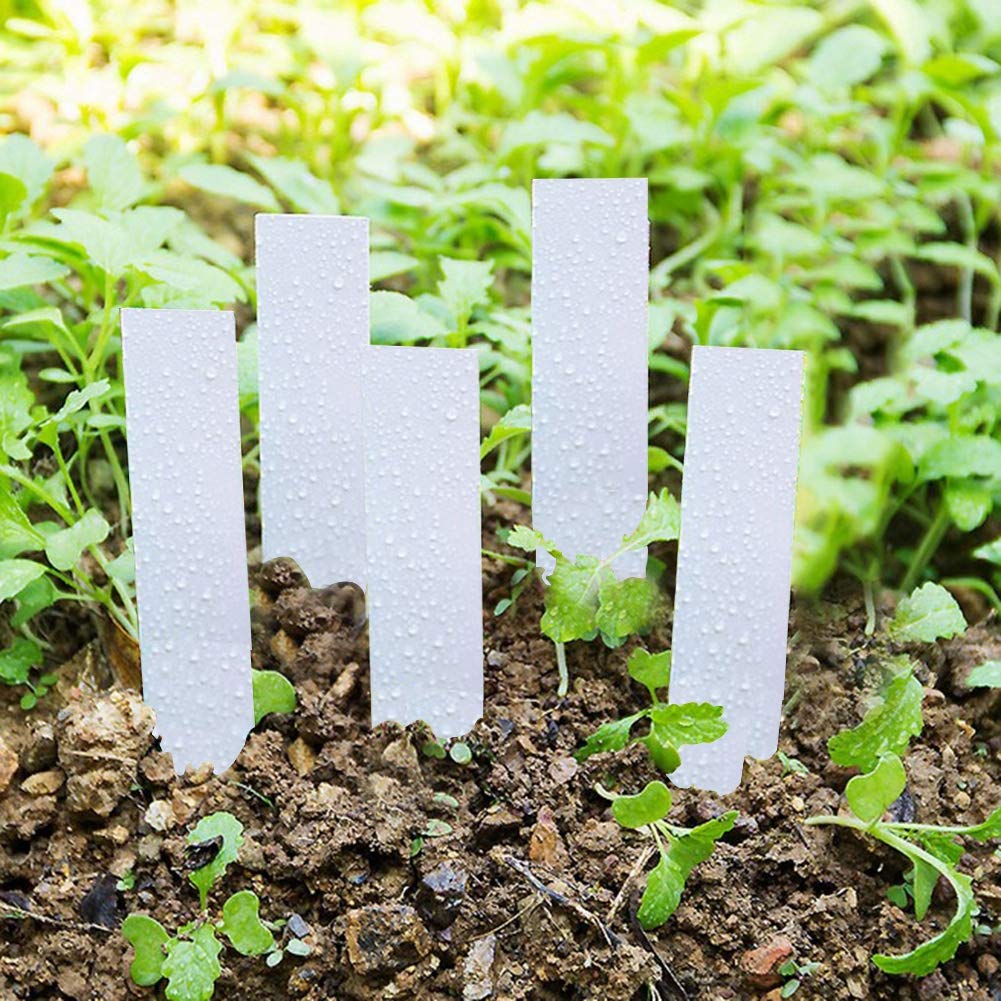 100 sztuk Plastikowe etykiety roślin Tagi roślin Etykiety nasion Znaczniki doniczkowe Stawka ogrodowa przedszkola (biała)