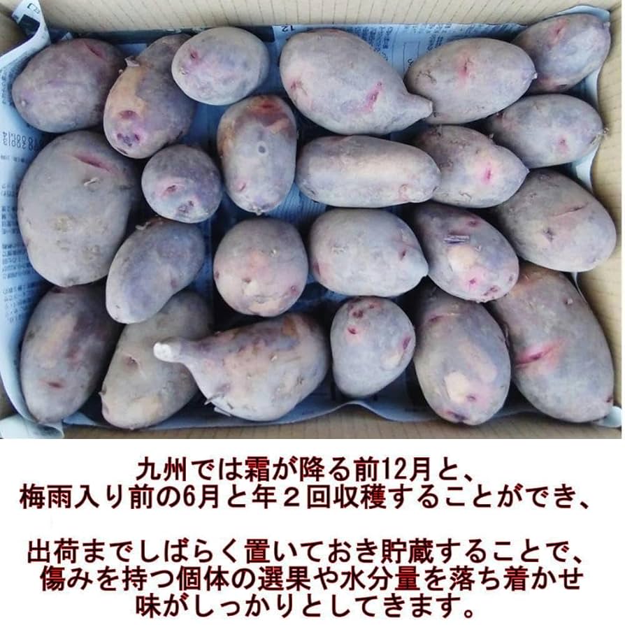 無農薬　無肥料　熊本県産　グラウンドペチカ　10kg Amazon.co.jp: 自然栽培じゃがいも グランドペチカ 約2キロ 山口