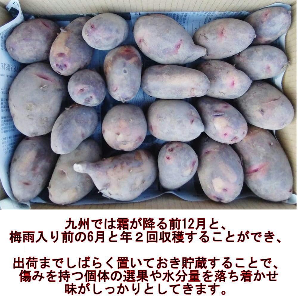 Amazon.co.jp: 自然栽培じゃがいも グランドペチカ 約2キロ 山口