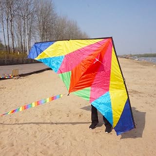 Besra Rainbow Delta Kite Single Line Kite with Long Tail for Kids and Adults Outdoor Fun Sports for Beach & Park