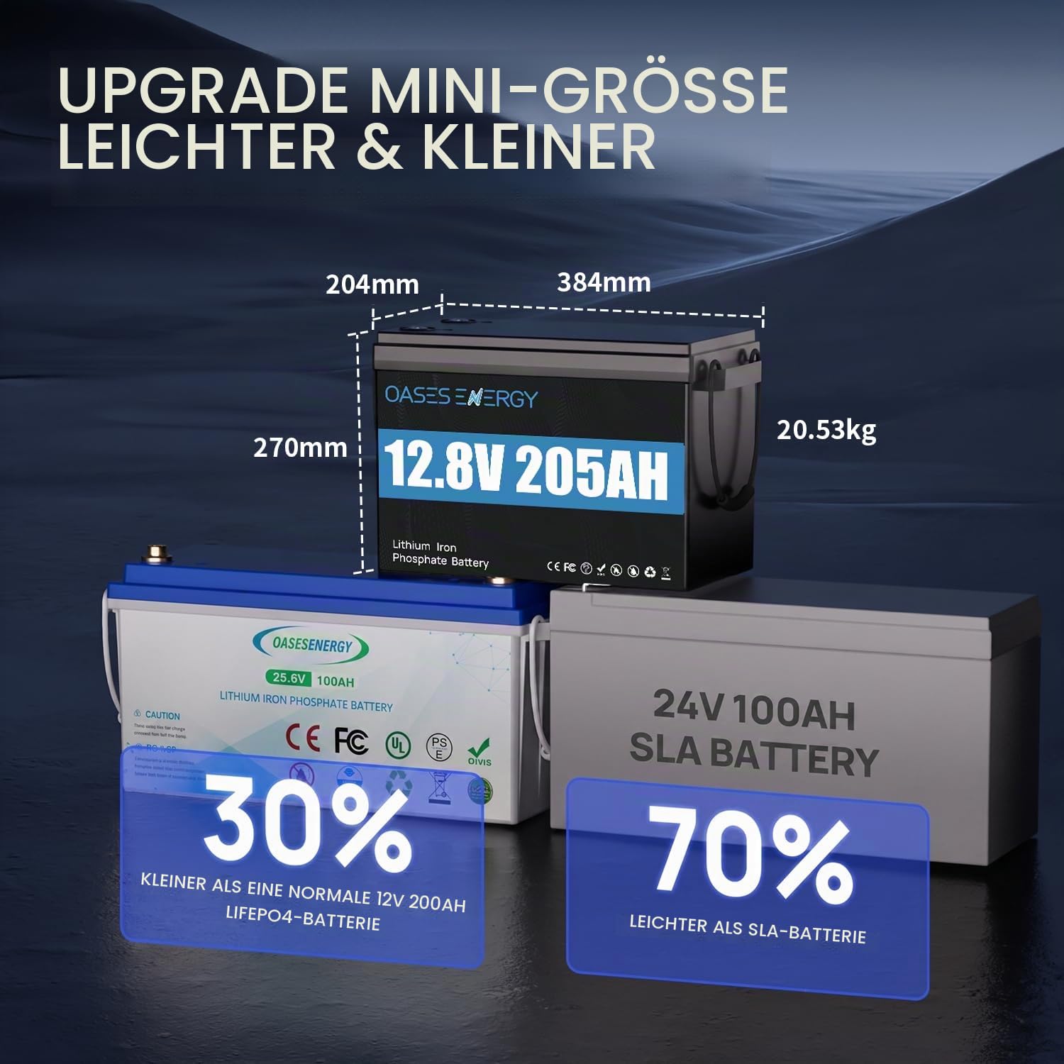 12V 200Ah (205Ah) LiFePO4 Batterie Mini, mit Bluetooth 200A BMS, Bis zu 15000 Zyklen, 2624Wh Lithium Akku, perfekt für Wohnmobile, Solaranlage, Off-Grid-Systeme,Camping, Boot