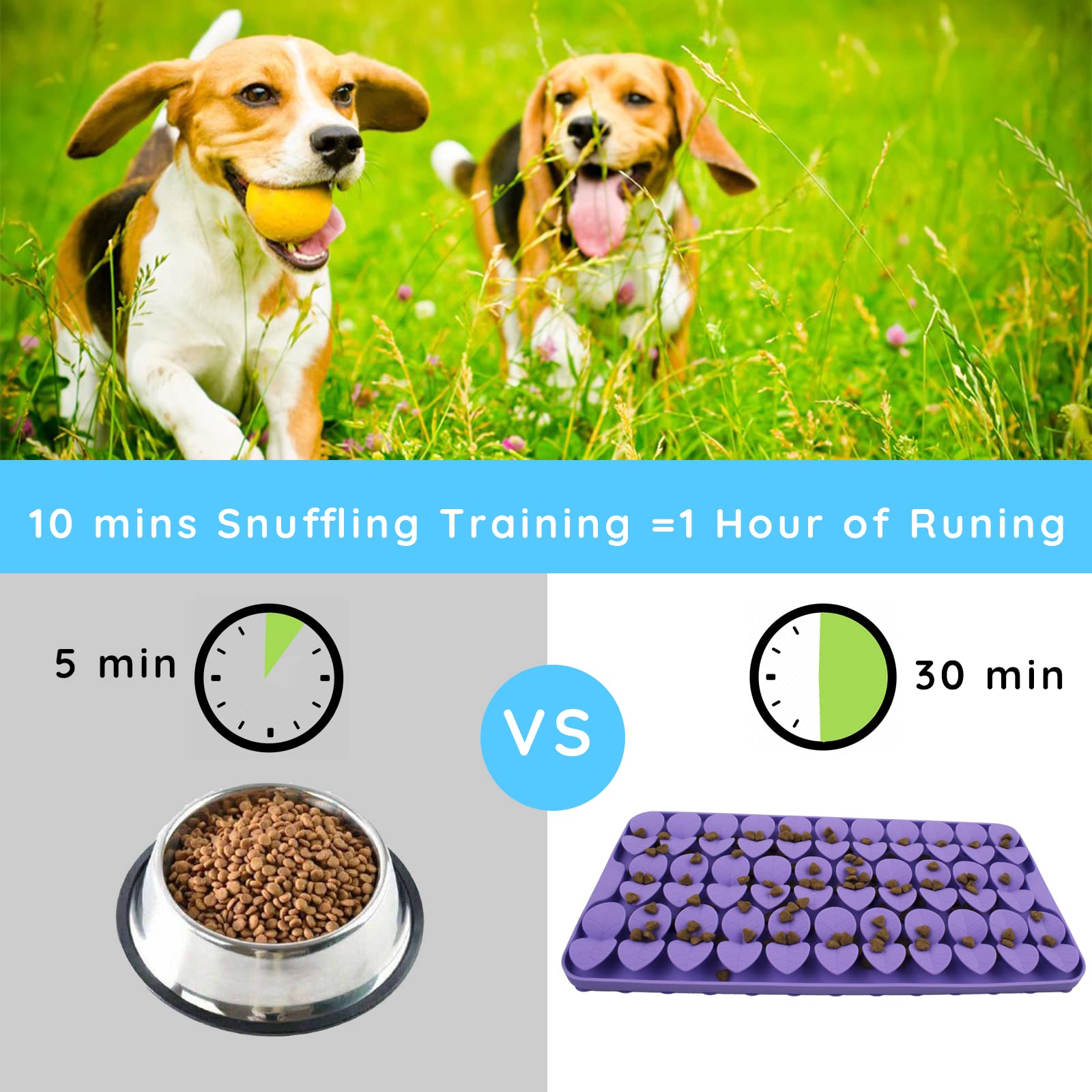 Slow Pet Feeder