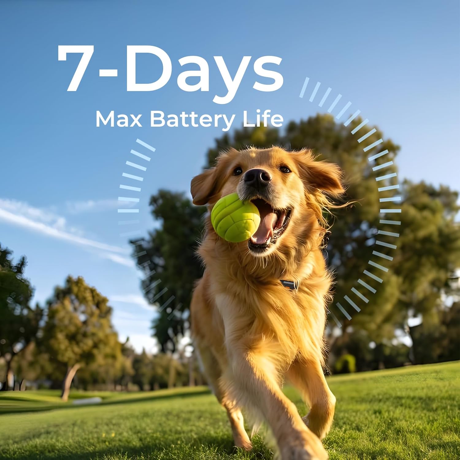 No Monthly Fee GPS Dog Tracker for Medium & Large Dogs, Off-Grid with No Cell Service, 3-Level Virtual Fence, Up to 7-Day Tracker Battery, IP67 Waterproof, Reflective Collar, Remote Light & Sound