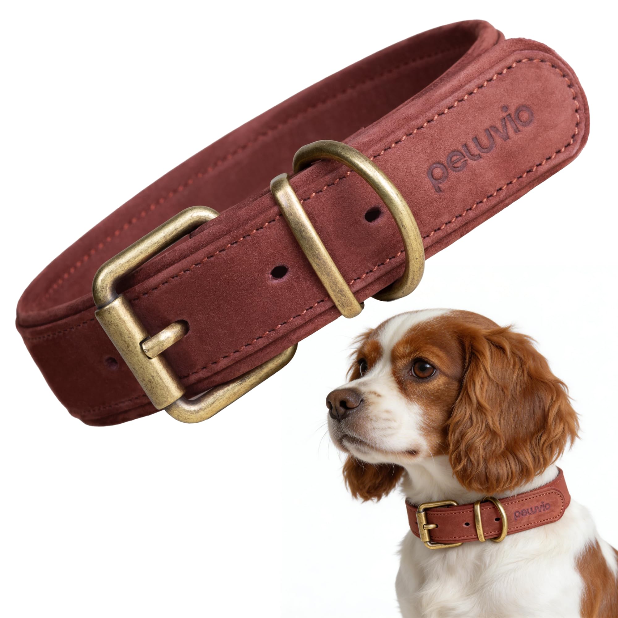 Rexor Collar de Cuero para Perros Pequeños Y Medianos, Ajustable Y Resistente, Material Natural Amable con La Piel, Costuras Fuertes, Herrajes de Cobre (S-M)
