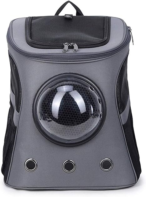 the fat cat cat backpack