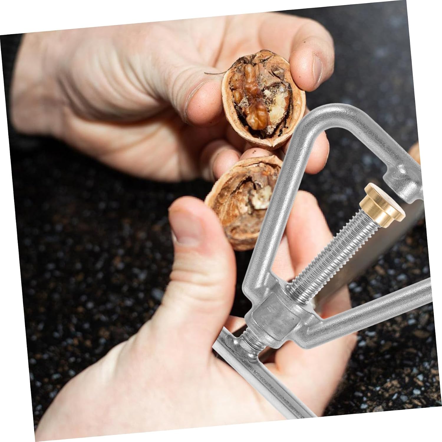 Nut Cracker Black Walnut Cracker Stainless Steel Nutcracker Tool for Walnut Hazelnut Almonds Pecan Walnuts