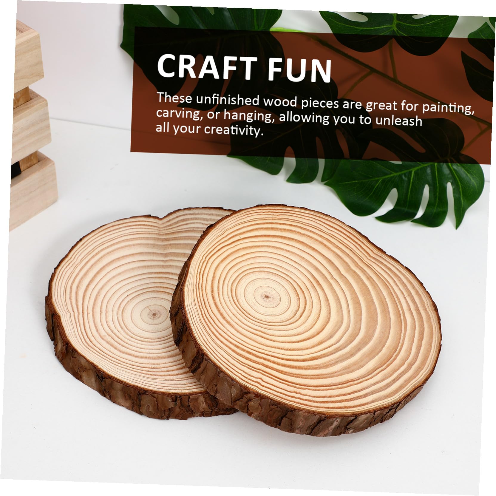 2 Pezzi Fette di Tronco di Legno Naturale Grezzo Rotonde con Superficie Liscia Non Finite per Artigianato Rustico Matrimonio Fai da Te