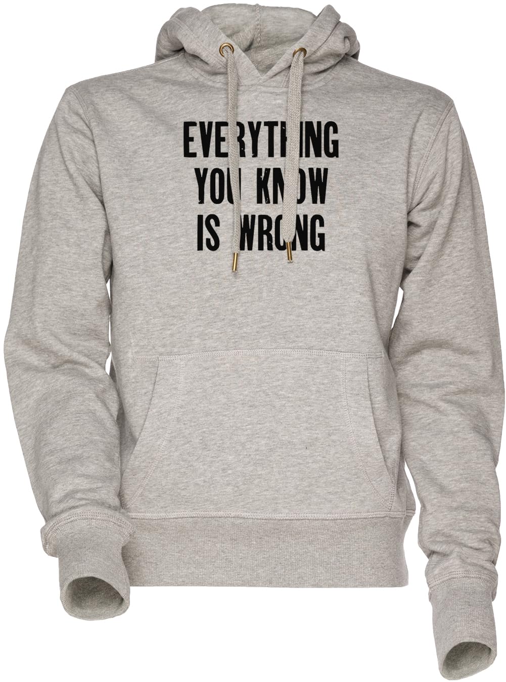 Hoodie gris Everything You Know is Wrong avec message imprimé et capuche ajustable - 3