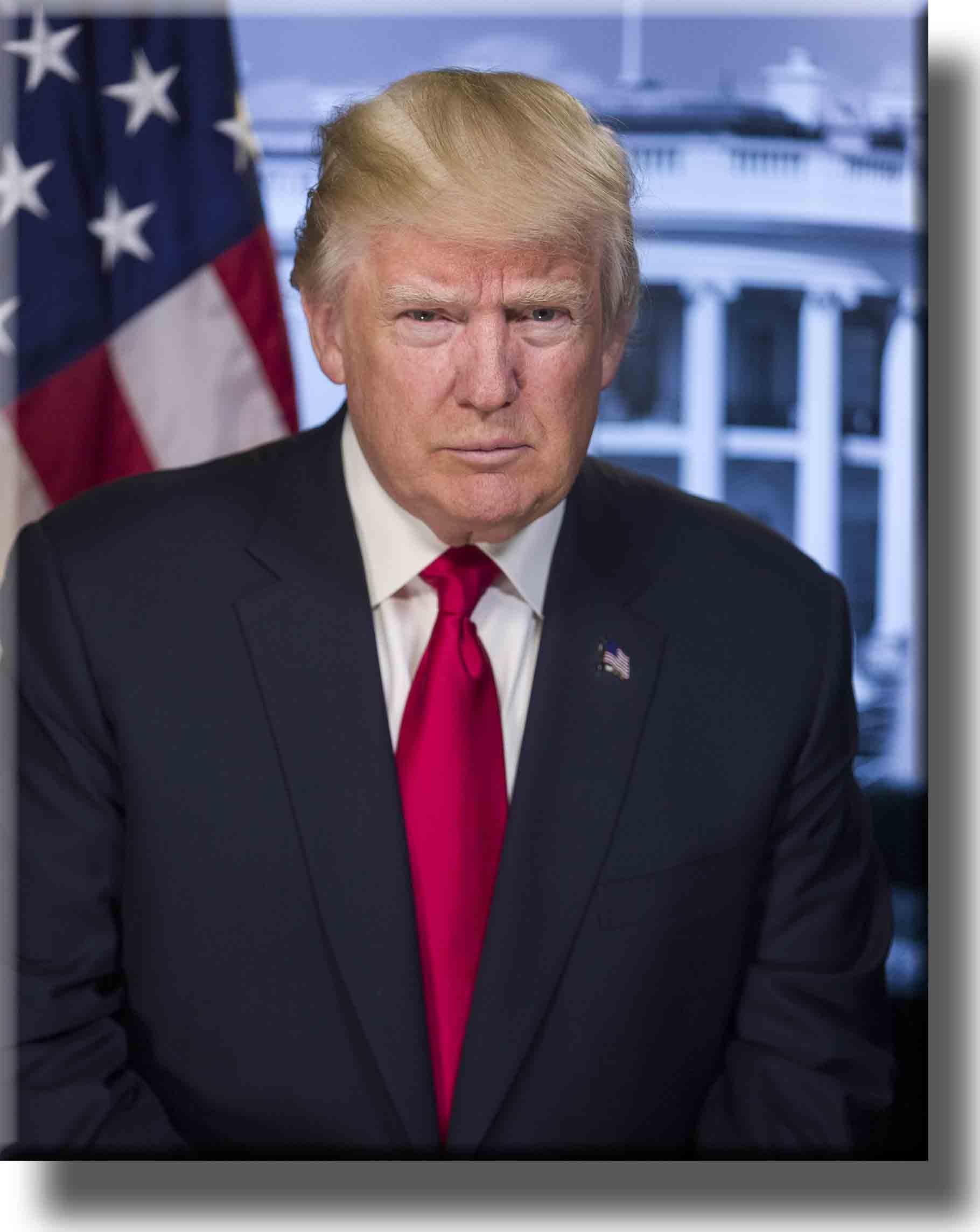 ArtWorks Decor Donald Trump Portrait on Stretched Canvas Wall Art Décor, Ready to Hang!