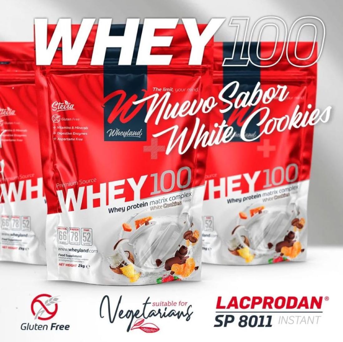 WHEY SP8011 Instant - Concentrado de proteína de suero de leche (100 – 1000 g) de ARLA, 100% pura proteína de suero para un rápido desarrollo muscular (Brownie Choc)