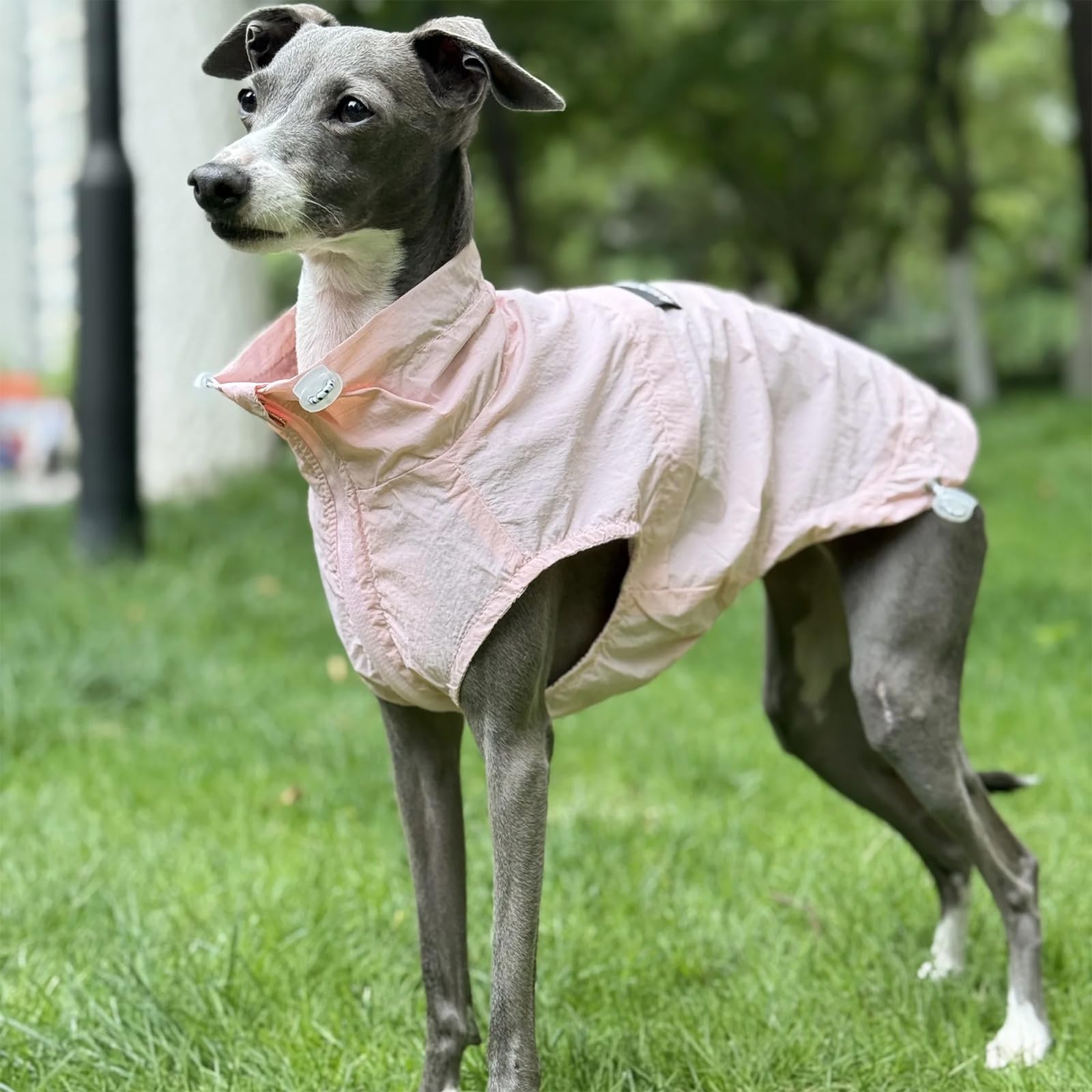Sonnenschutz Hund Shirt, Sommer Cool Light Jacke Mit Reißverschluss, Schnelltrocknen Ärmelloses Dünnes T-Shirt Für Greyhound