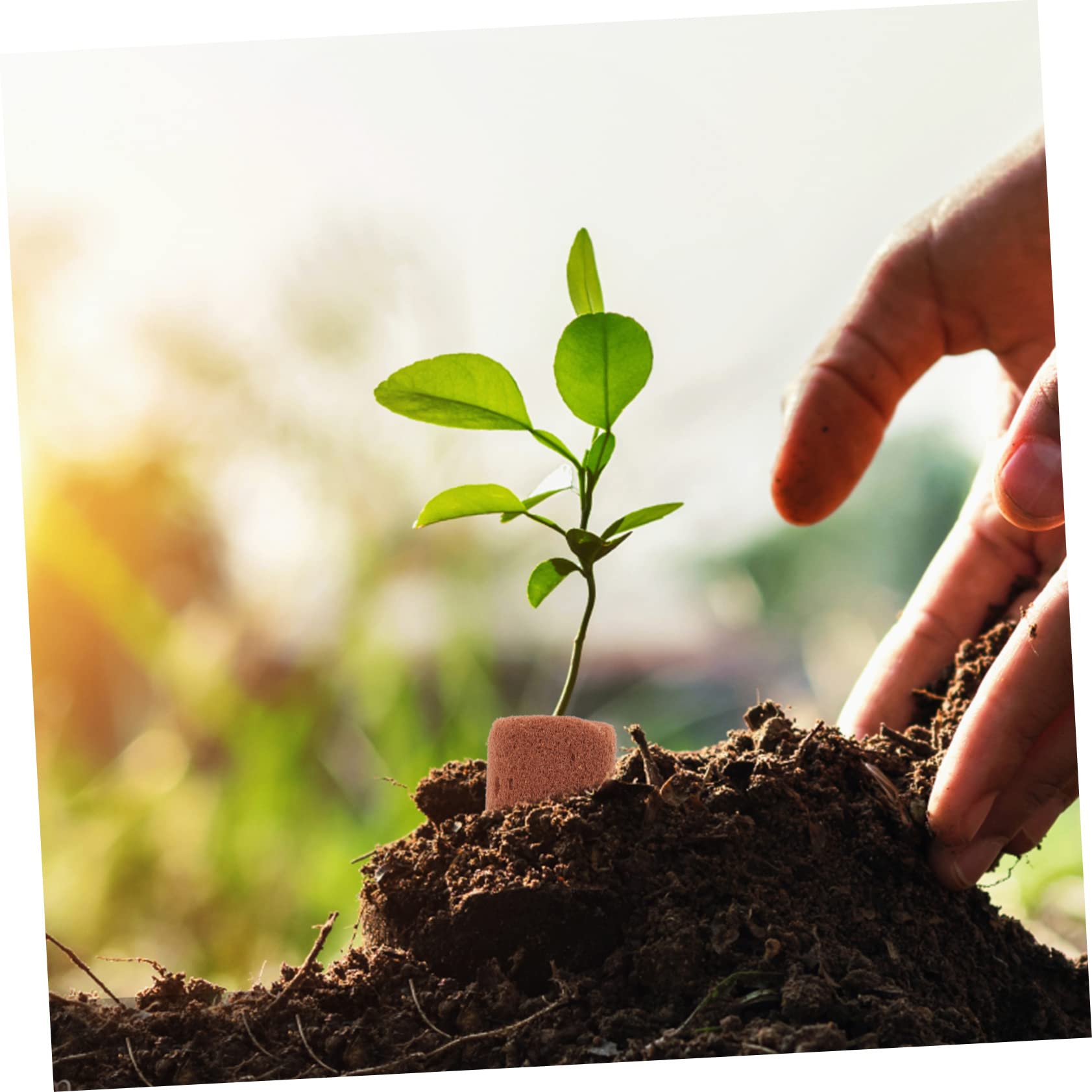POPETPOP 3 Juegos De Bloques De Tierra para Plantas De Interior para Un Crecimiento Vibrante Y Fácil Mantenimiento 100 Unidades X 3