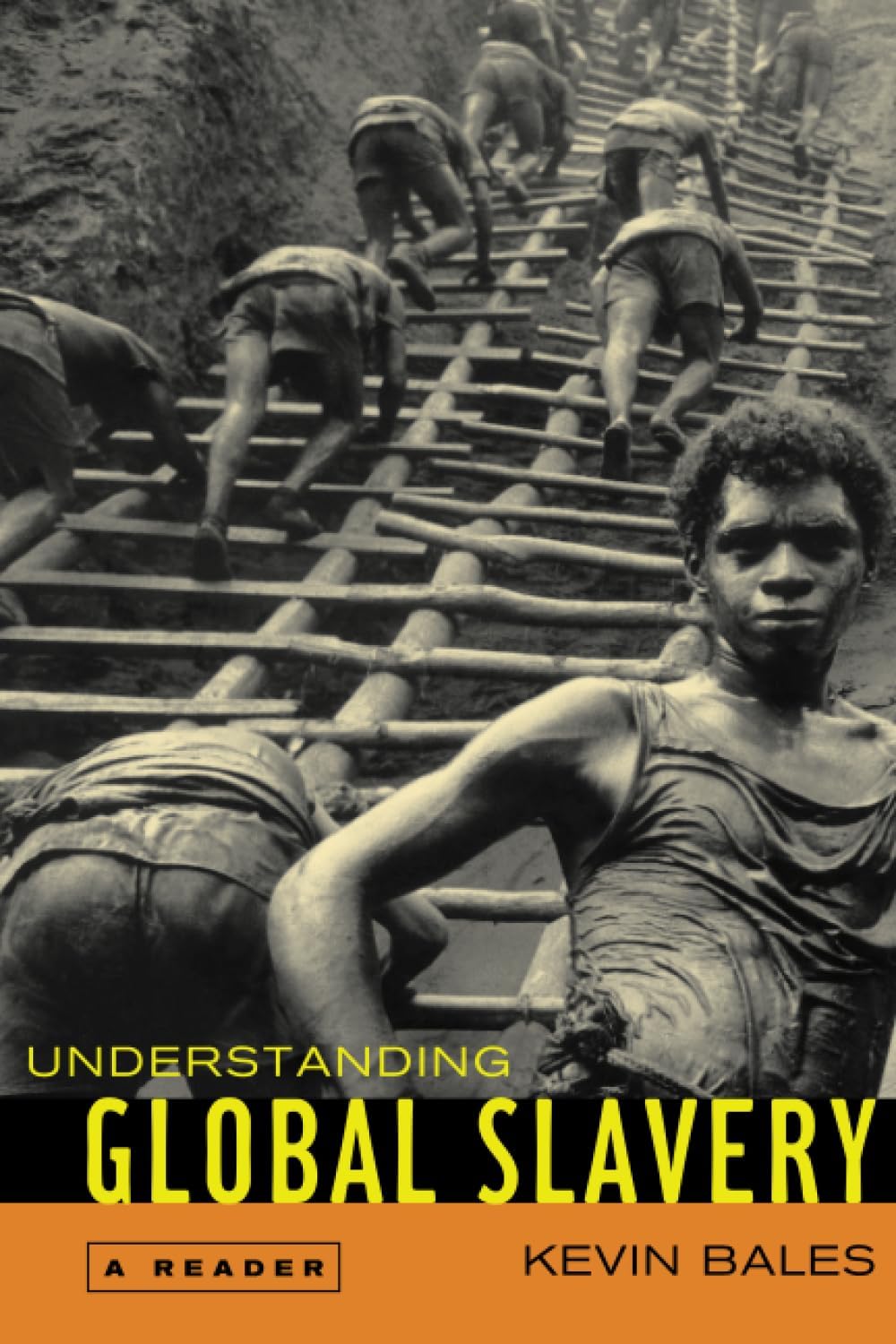 Buy Understanding Global Slavery — BookShops.in