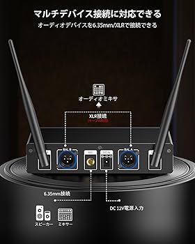 Amazon.co.jp: LEKATO ワイヤレスマイクシステム BKW-12