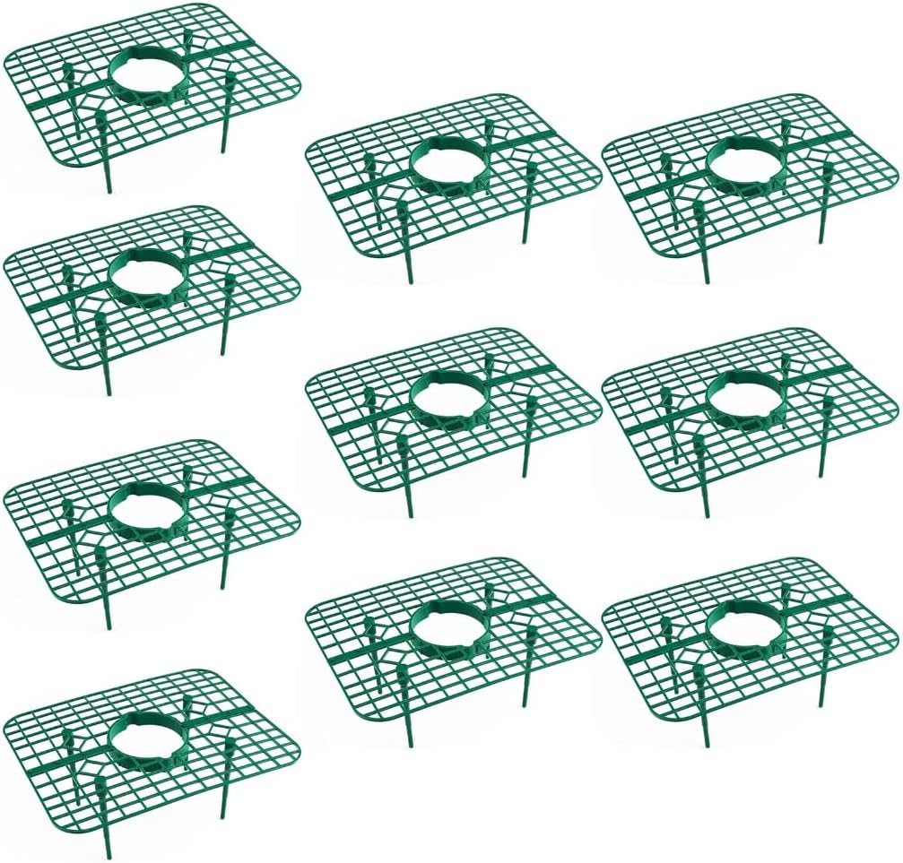 10Pcs Strawberry Plant Strawberry Growing Rack Strawberry Growing Frame for Keeping Garden Strawberry