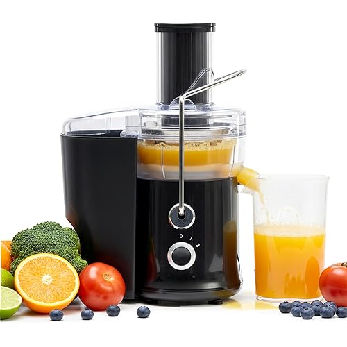 Simple Deluxe Juicer Machines, 480W Centrifugal Juicer Extractor with Wide Mouth 2.6" Feed Chute for Fruit Vegetable, Electric Juicer with 2-Speed Quick Juicing, Easy to Clean, BPA-Free, Black