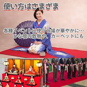 Amazon.co.jp: 毛氈（もうせん）赤 厚手 1m×2.5m 厚さ3mm 敷物