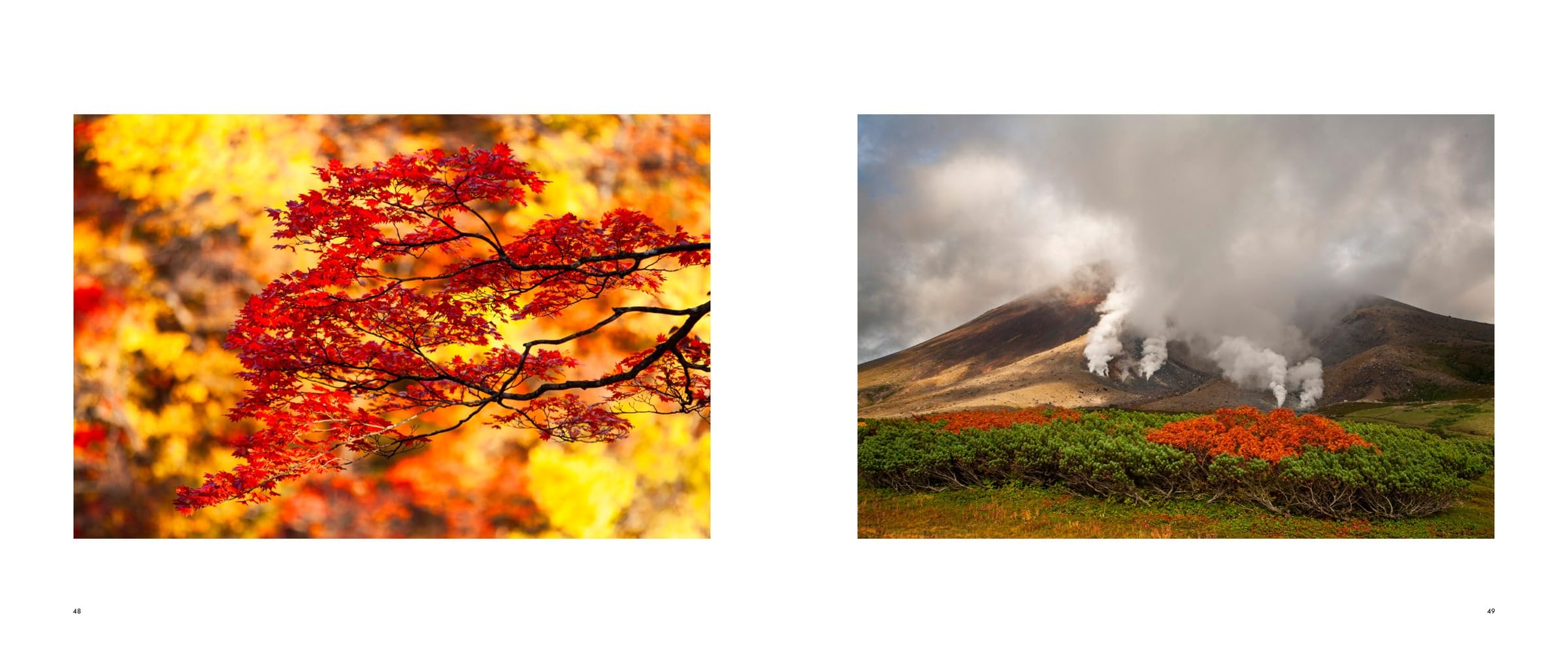 The Nature of Japan