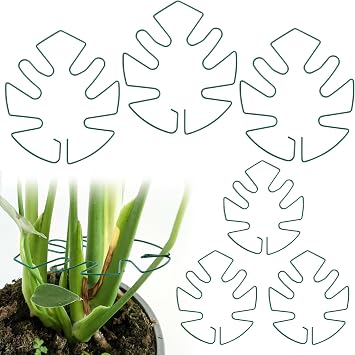 Hysagtek 6PCS Monstera Plant Support, Plant Stem Support Durable Monstera Stabilizer Grapple Holder, Turtle Shell Bamboo Clamp Set, Ideal Plant Support for Thriving Growth