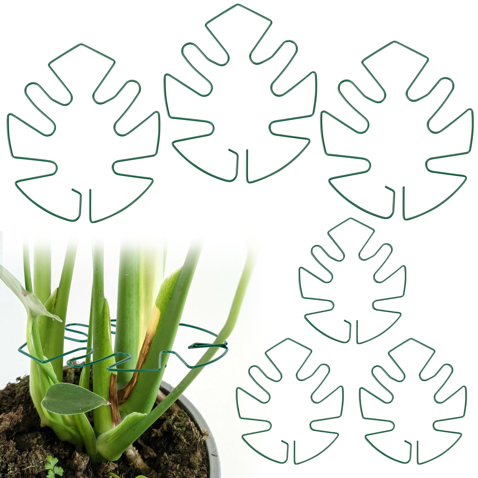 Support de plantes Monstera tuteur bambou rigide avec pinces de fixation - Lot de 6 Hysagtek
