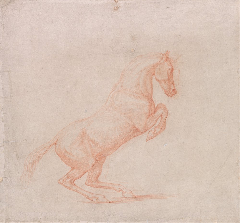 A Prancing Horse Facing Right George Stubbs : Une déco de salon raffinée