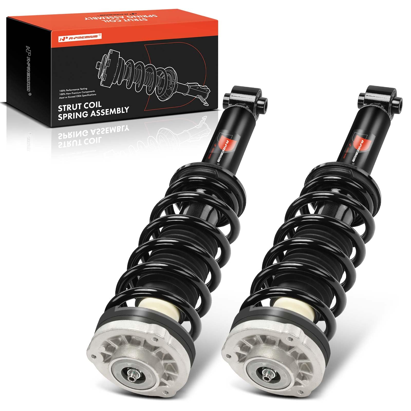 Rear Complete Strut Assemblies with Coil Springs, Set of 2