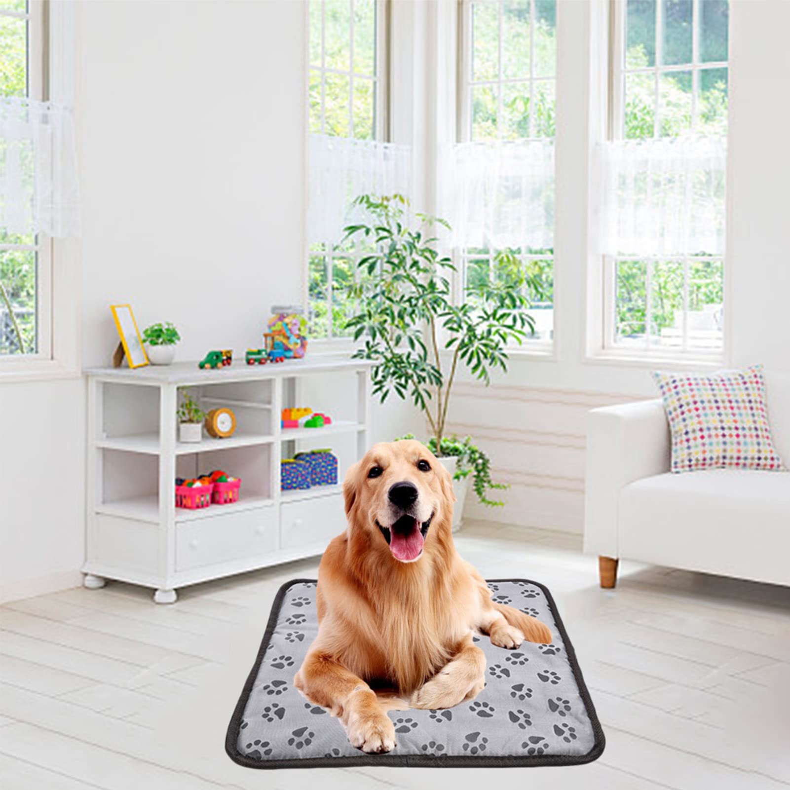 Tapis Chauffant Chat Electrique, Tapis Chauffant Imperméable pour Chien Et Chat, Coussin Chauffant Réglable pour Chien avec 3 Niveaux De Température pour Chiens Et Chats
