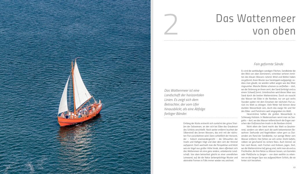 Wunderwelt Wattenmeer: Exklusive Einblicke in einen faszinierenden Kosmos