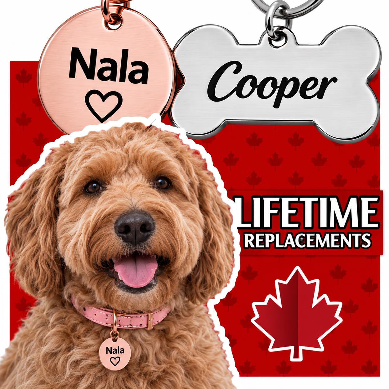 UNIIKA Dog Tags Personalized (Canada Lifetime Replacements) Deep