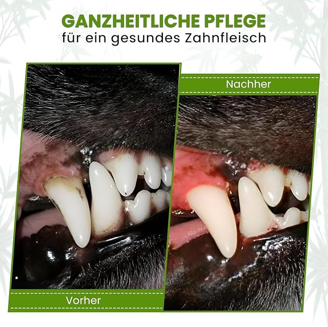 Foto 5 de 7 de TraumaPet Gel bucal de plata coloidal para perros y gatos, 10 ml