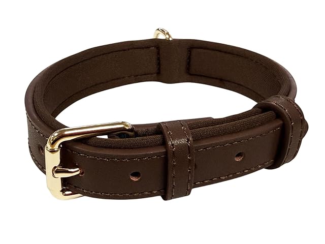 Foto 2 de 6 de Collar de perro ajustable de piel auténtica vibrante con acolchado de neopreno suave