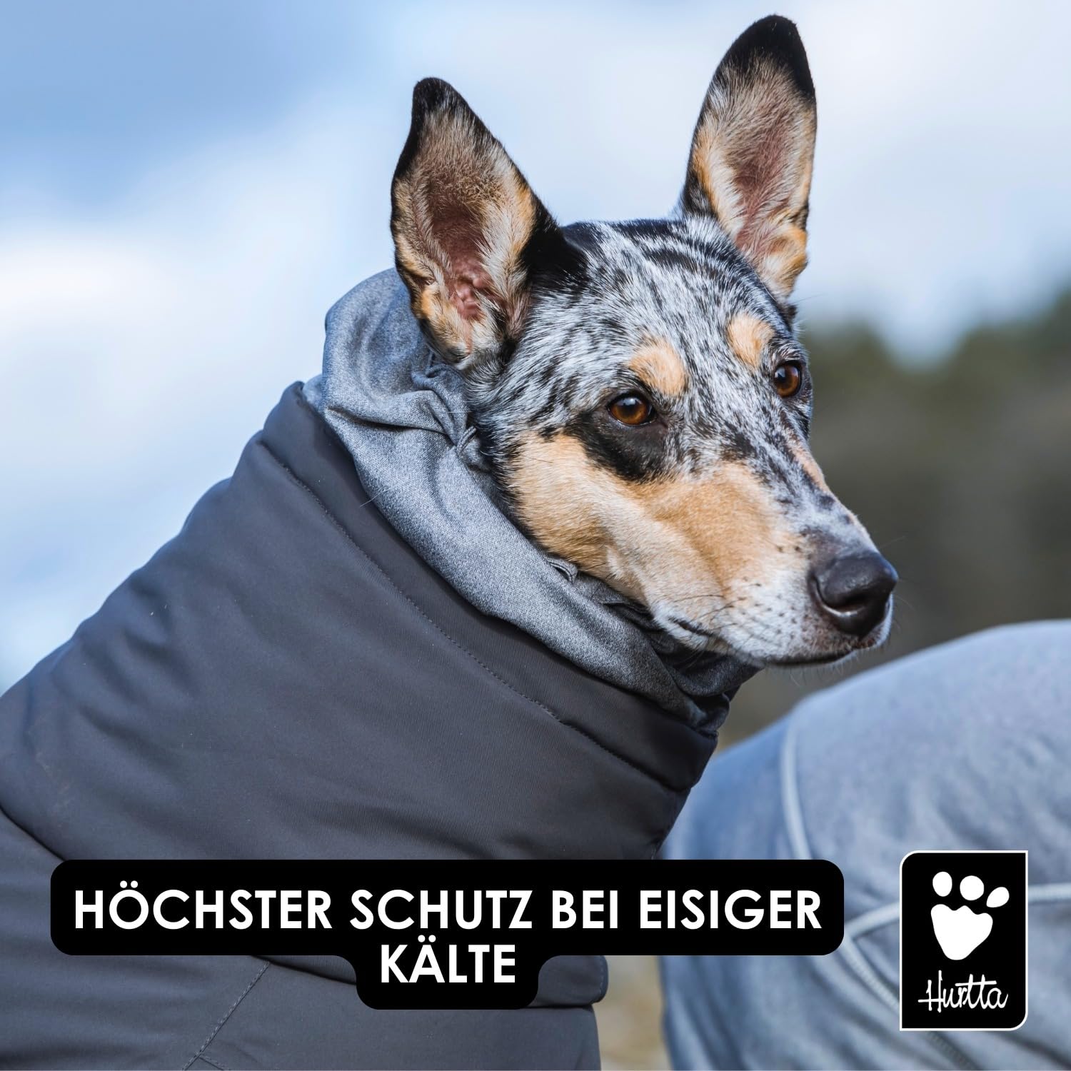 Amazon | フルッタ (Hurtta) エクストリームオーバーオール 犬用