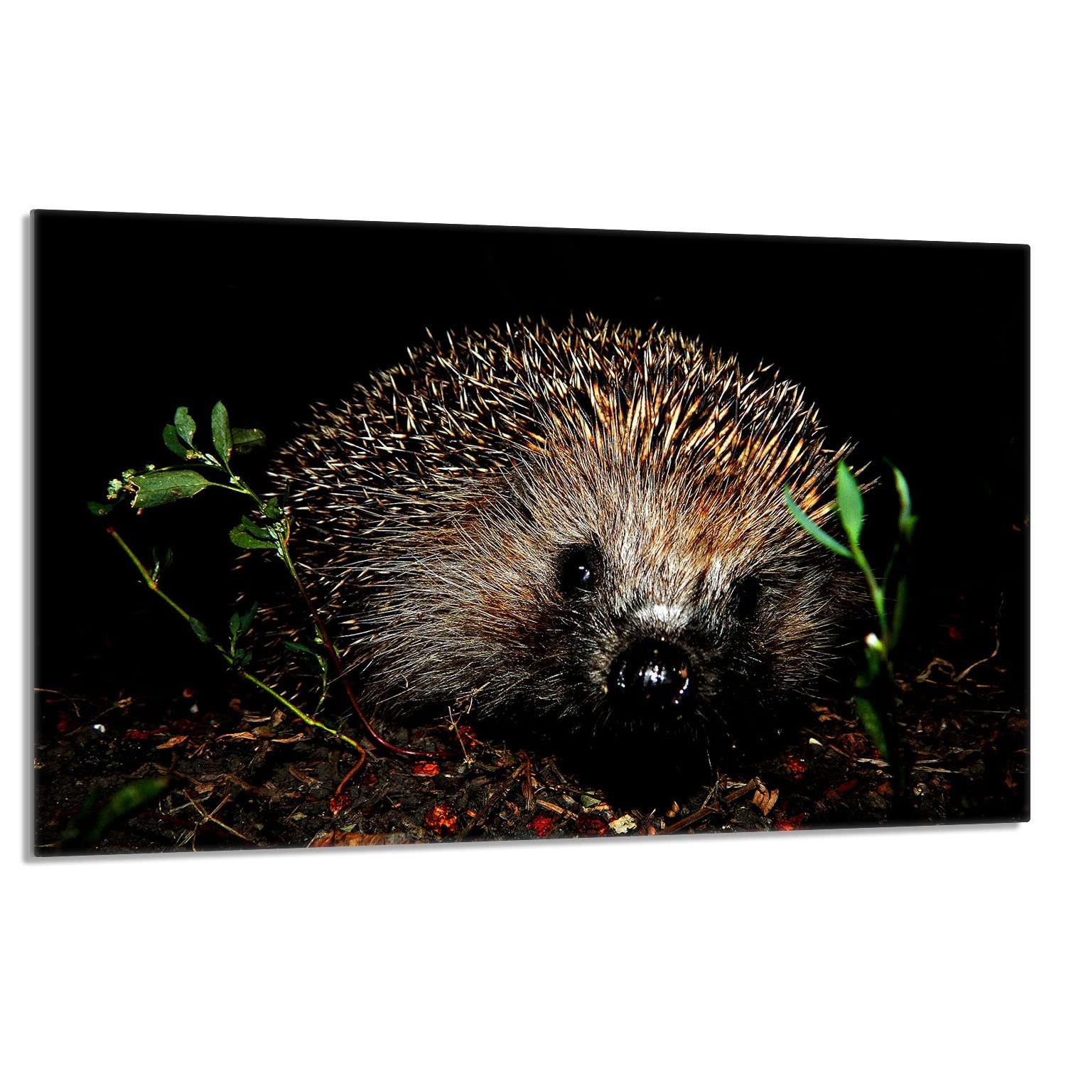 Plaque de protection pour plaque de cuisson 80 x 52 cm