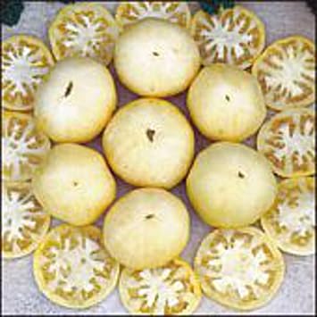 White Beauty Tomato Seeds 95 Seeds Seeds for Planting, Farm, Growing in Garden, Greenhouse, Vegetable, Fruit