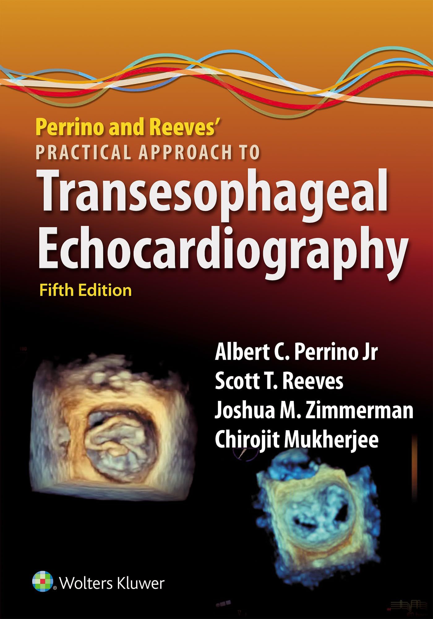 Perrino and Reeves' Practical Approach to Transesophageal Echocardiography: eBook without Multimedia (English Edition)