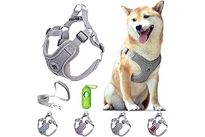 Step-In Dog Harness with Leash Set, No Choke No Pull Reflective Dog...