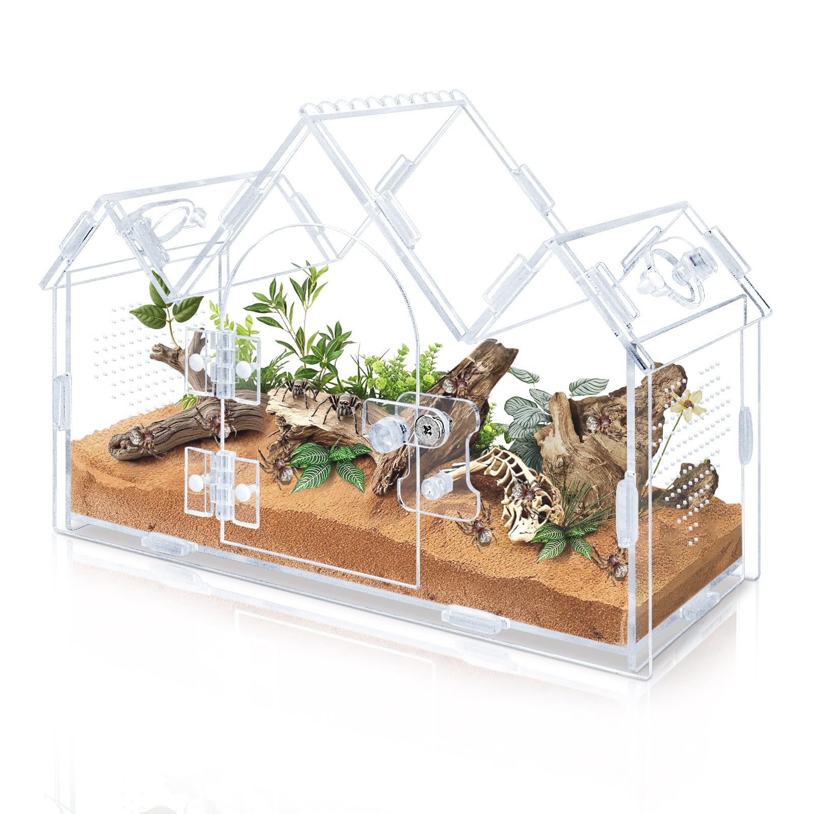 Acryl Terrarium für Springspinnen, 24x11x17cm Vogelspinnen Gehege mit Fronttür & Fütterungslöchern, Durchsichtiges Insektenhaus im Schloss-Design