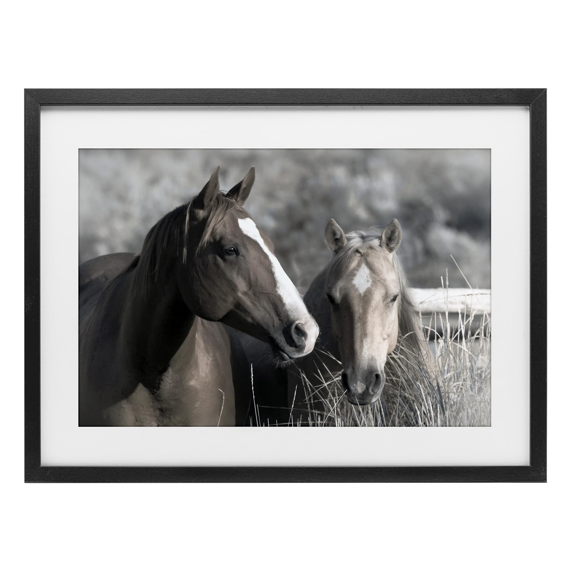 Stupell Industries Midnight Black (Textured) 'Content Horses In Pasture'| Framed Print Under Glass