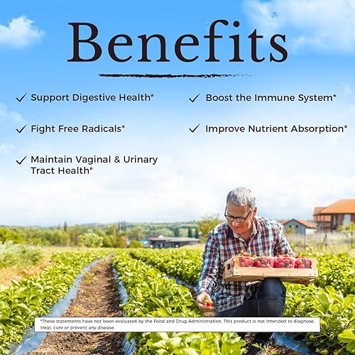 Vista 5 de Vitalitown Probióticos para mujeres, 120 mil millones de UFC, 30 cepas, con prebióticos y enzimas digestivas y arándano, salud intestinal y vaginal