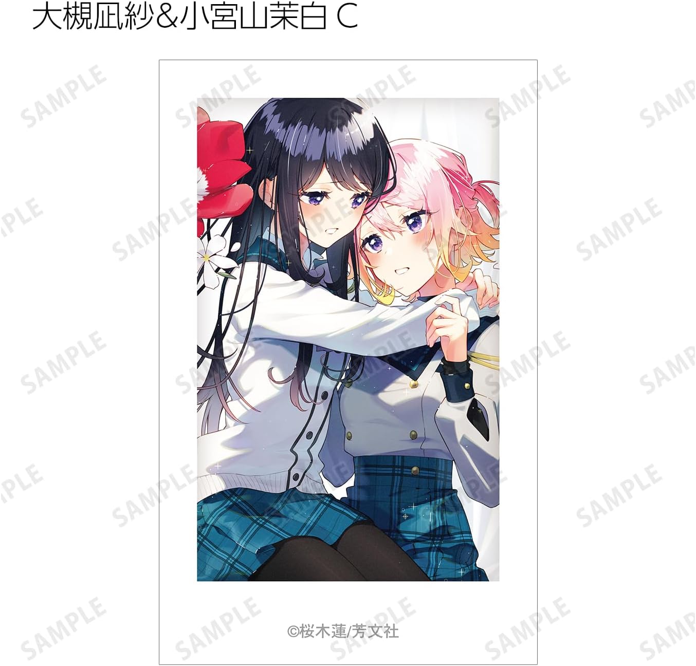 Anemone is Heated Trading Illustration Cards, Box of 10