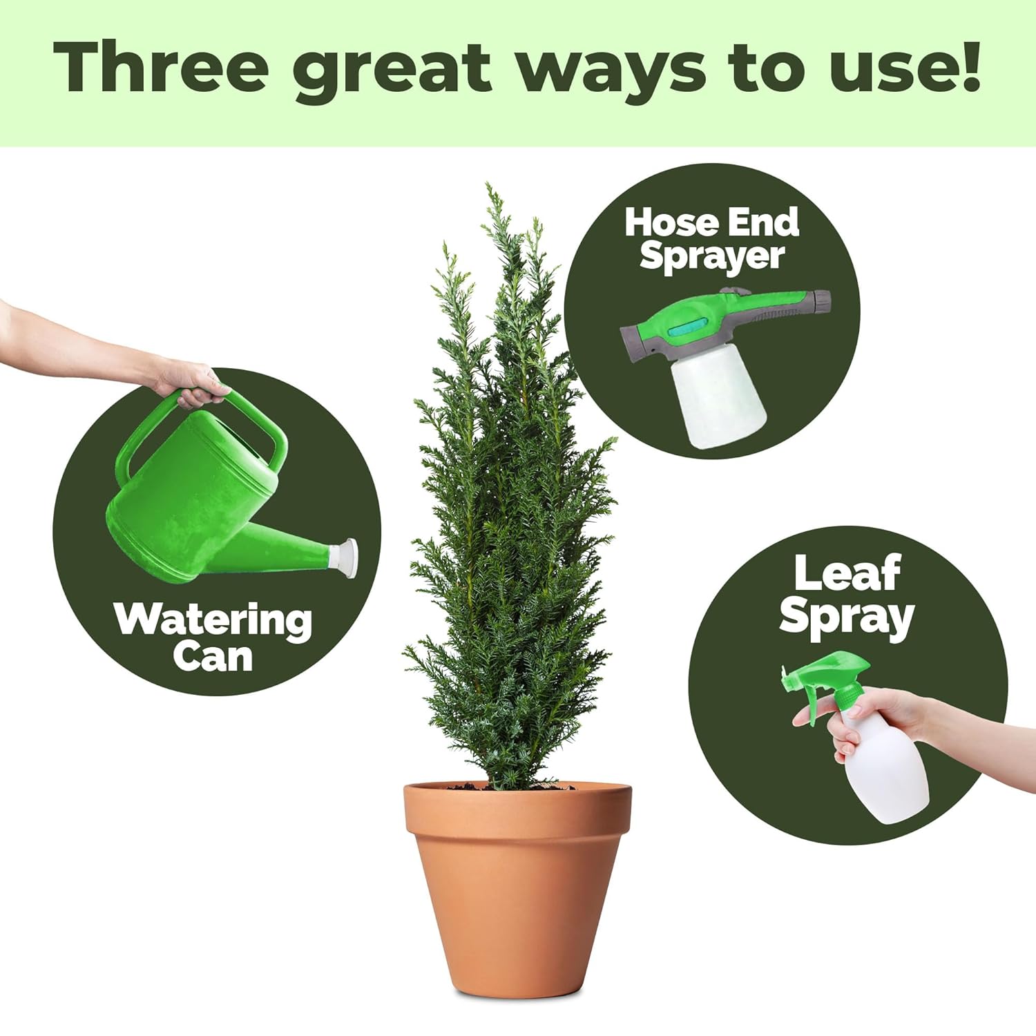 Juniper Fertilizer – Liquid Plant Food for Dense Growth, Rich Green Color & Stronger Root Development, 32 oz