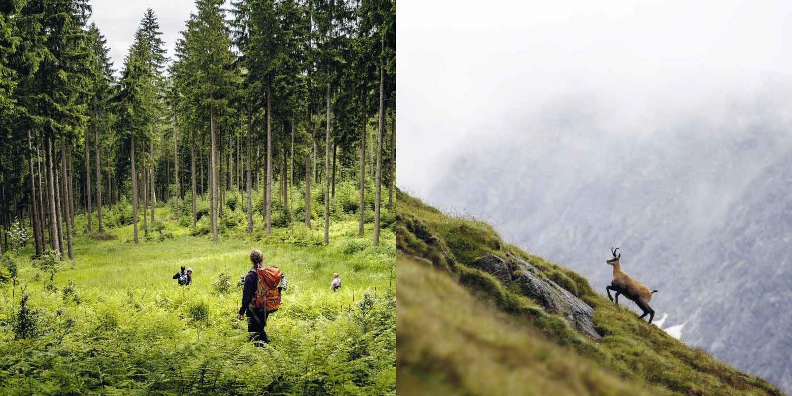 Die Berge und wir: Wandern, Klettern, Skitourengehen und Mountainbiken in den Alpen. 150 Jahre Deutscher Alpenverein